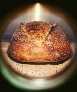 Brød i rofco